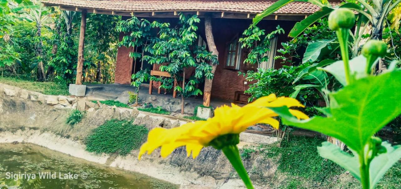 Sigiri Wild Lake Dambulla Esterno foto