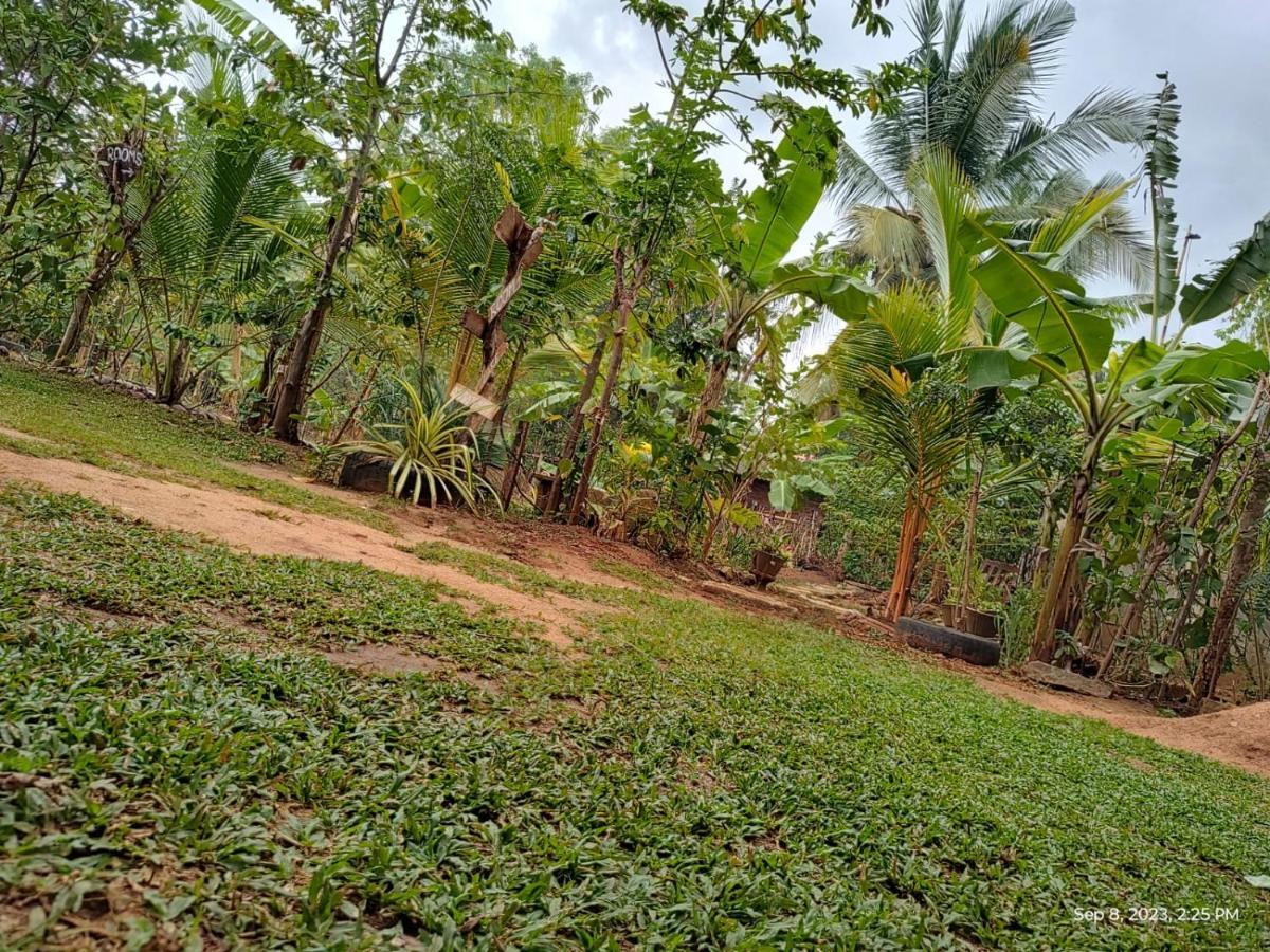 Sigiri Wild Lake Dambulla Esterno foto